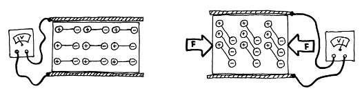 piezo guts