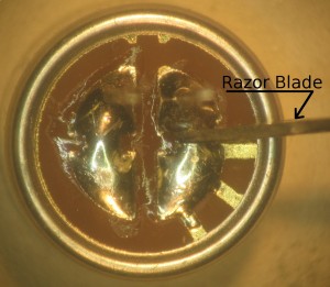 mic_cut_text